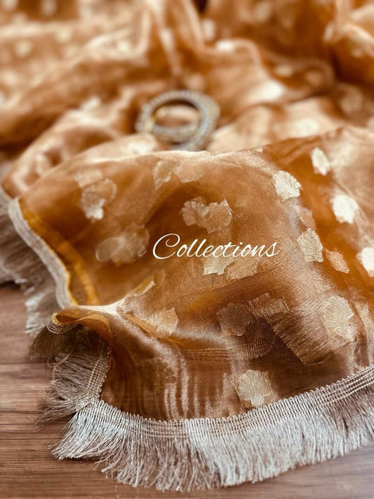 Rihani tissue silk weaving saree trendy sari