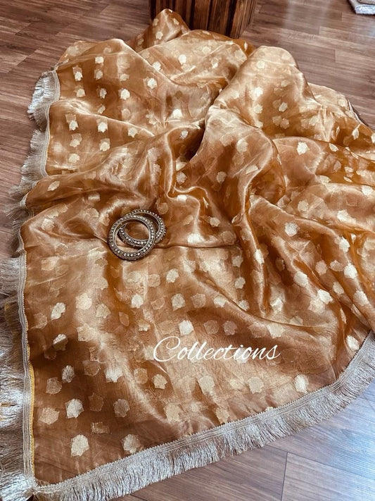 Rihani tissue silk weaving saree trendy sari