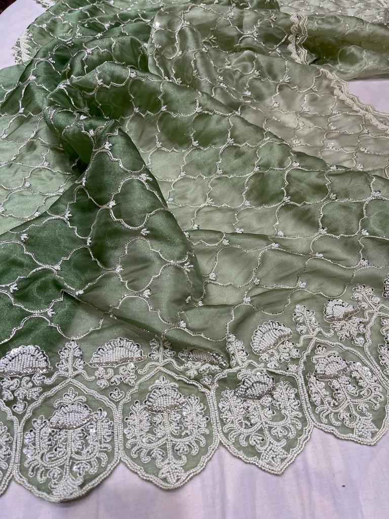 Tissue organza zardosi sares