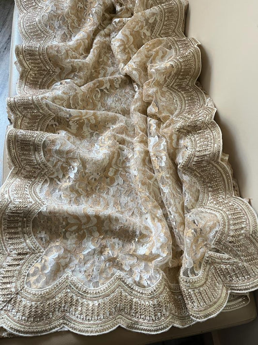 Chaintley lacy scalloped border saree