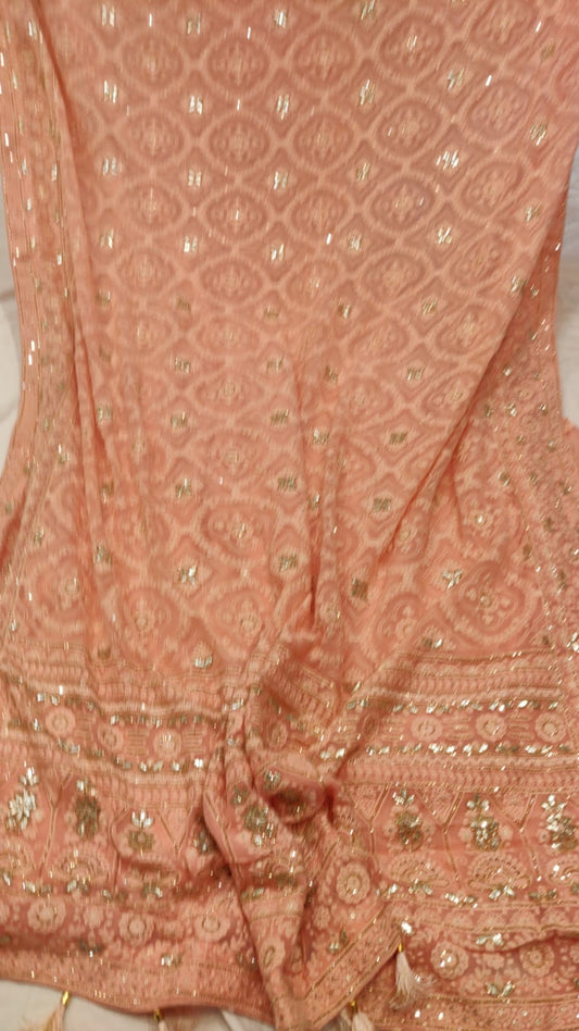 Maliva chikankari beautiful saree