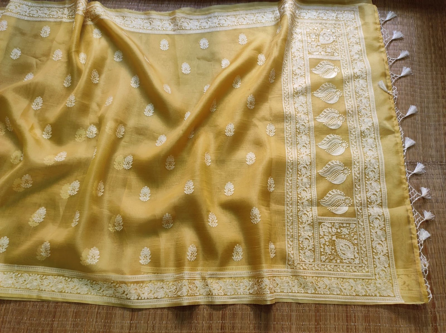 Organza Chikankari saree Indian saree