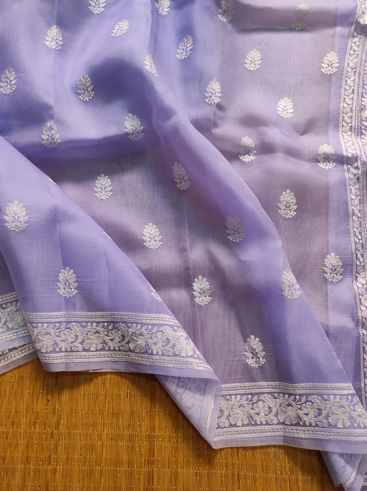 Organza Chikankari saree Indian saree