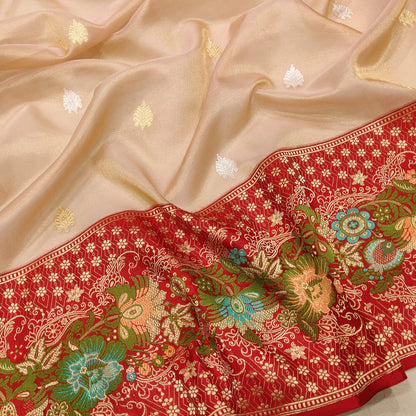 Vahija tissue saree handwoven sari blouse Indian sarees