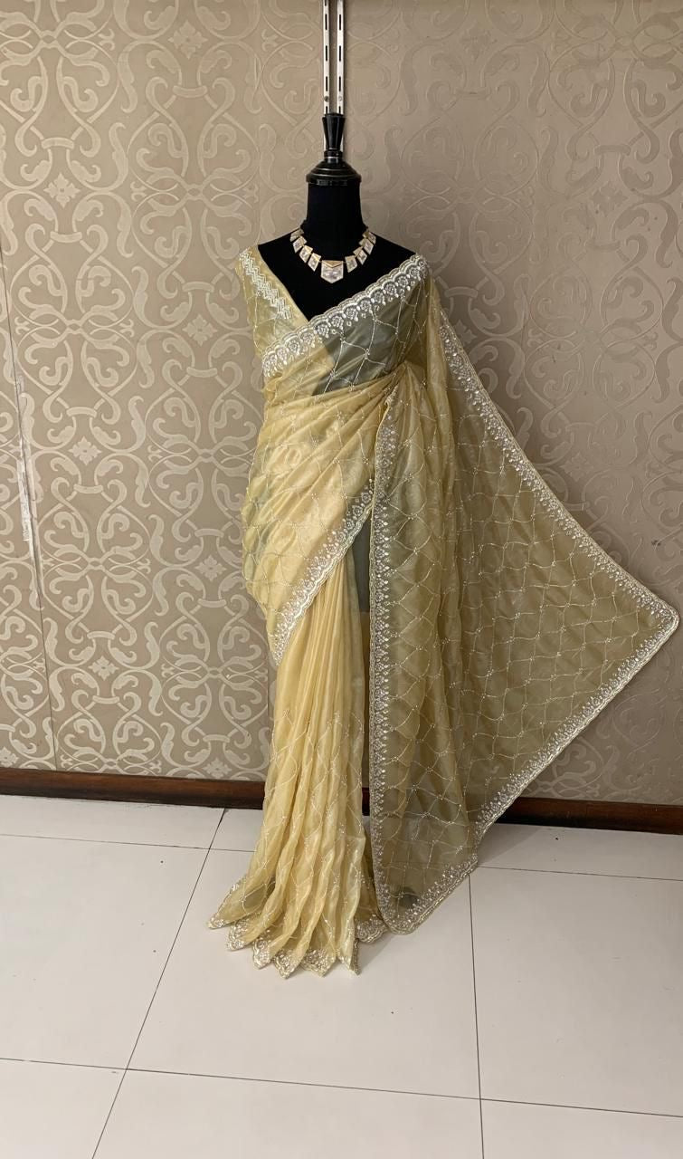 Venus organza saree reception saree beautiful saree blouse