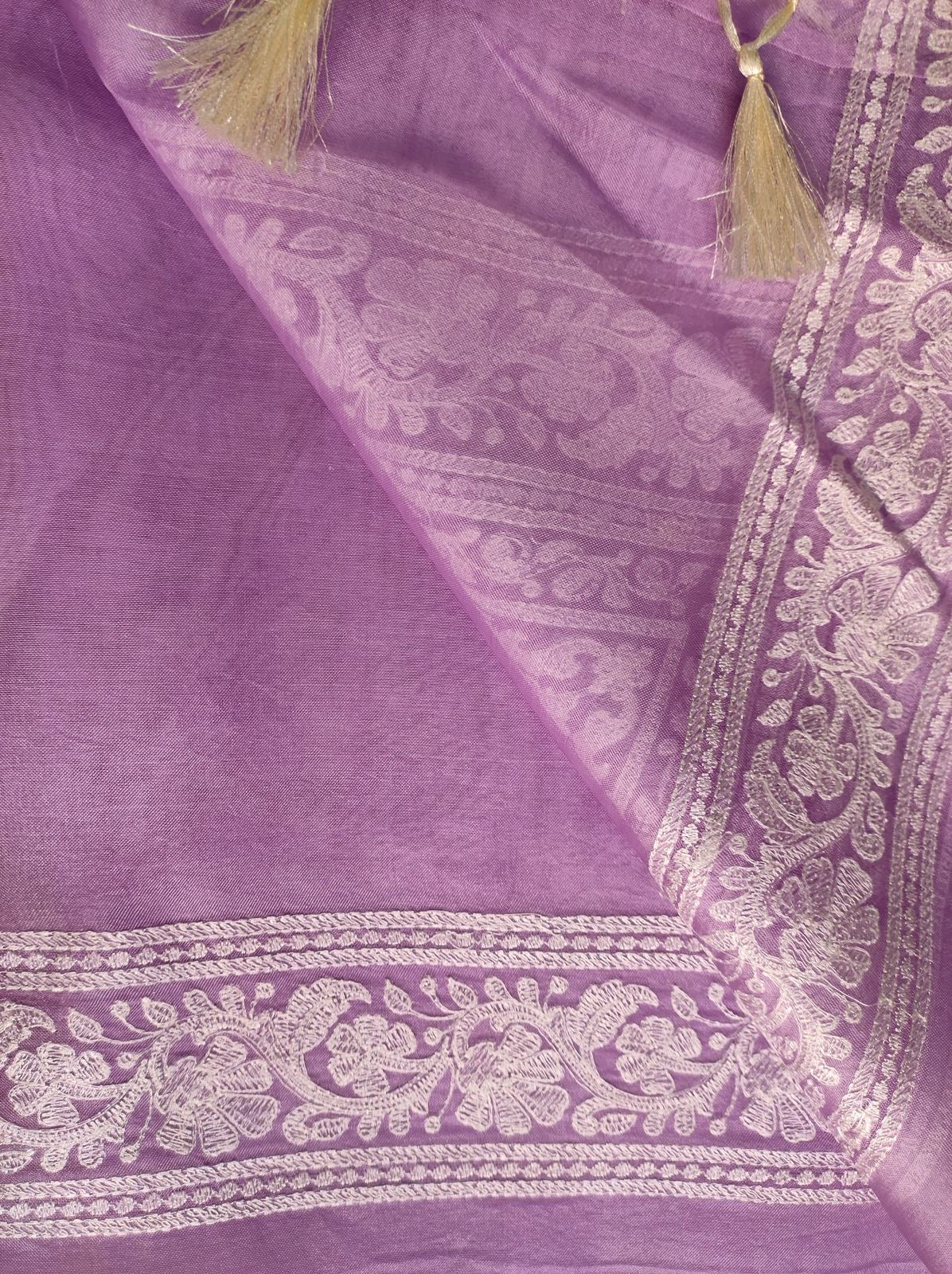 Organza Chikankari saree Indian saree