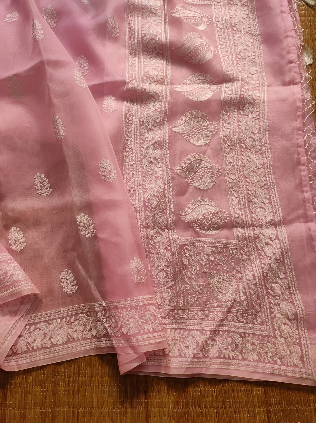 Organza Chikankari saree Indian saree