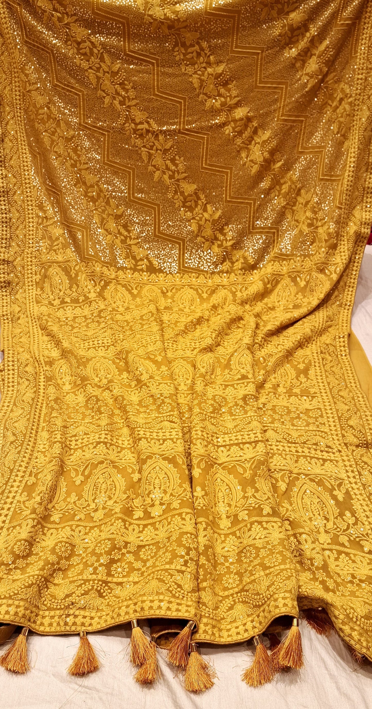 Lamina Chikankari Saree Georgette saree Indian beautiful sari blouse