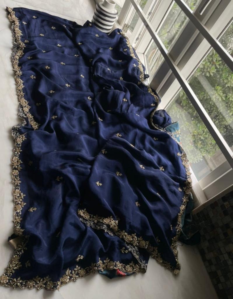 Rimi beautiful sari
