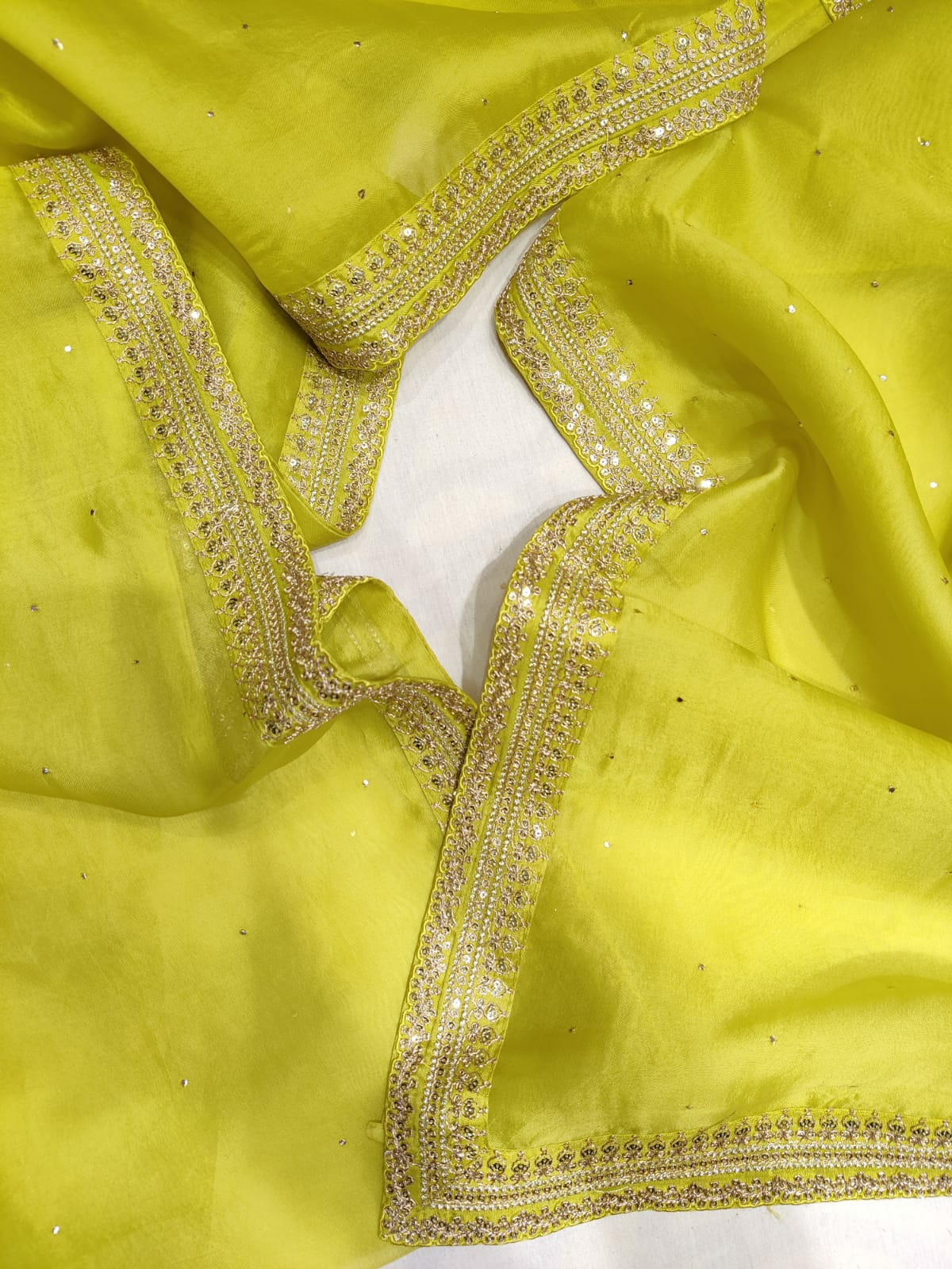 Kiwi organza sequence saree