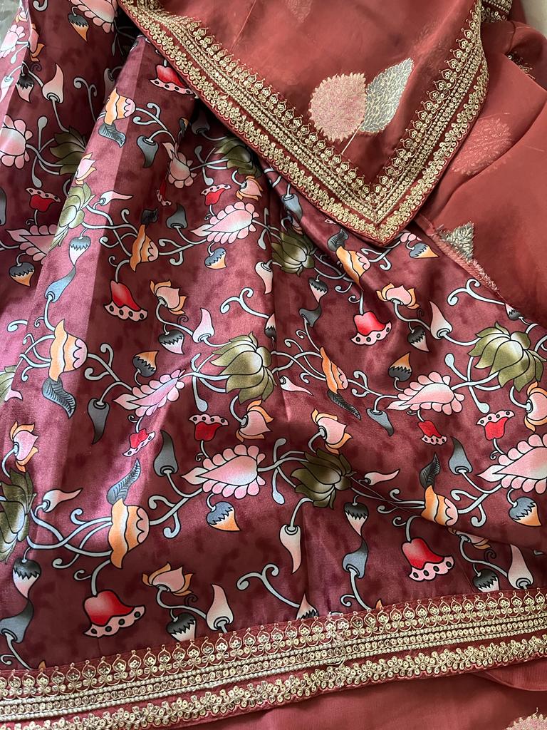 Rakhisha organza beautiful trendy saree